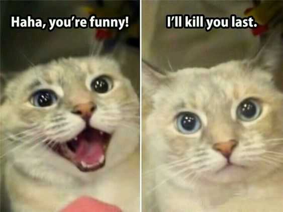 Funny Last