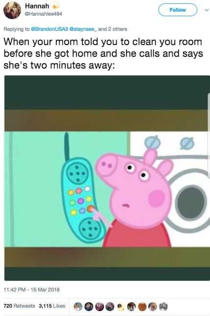Funny Mom Clean Eppa