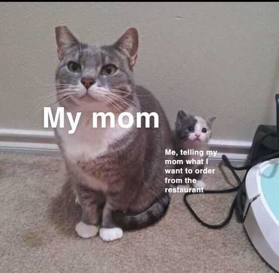 Funny Mom Telling Me