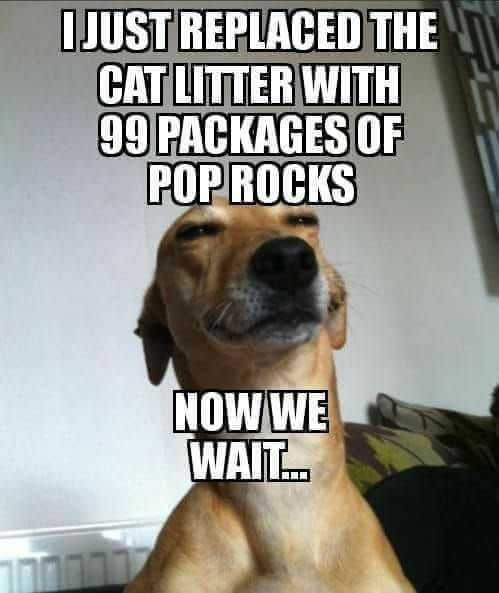 Funny Now We Wait