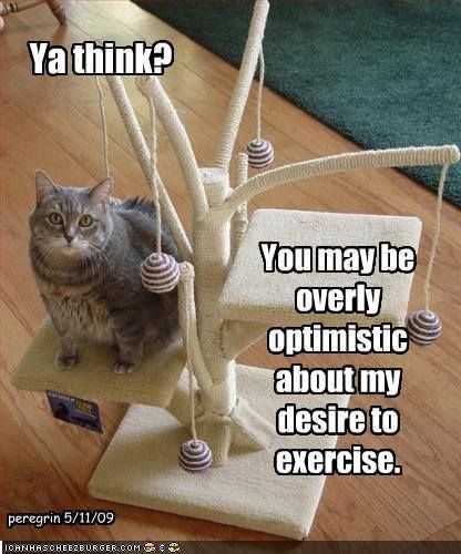 Funny Overly Optimistic