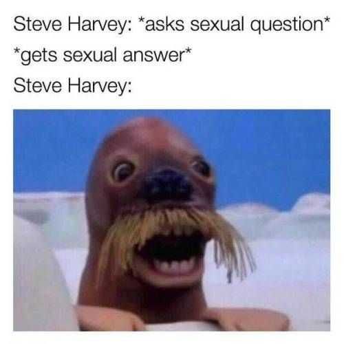 Funny Question Answer