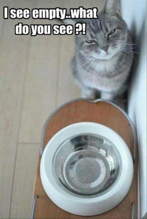 Funny See Empty