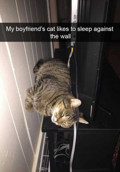 Funny Sleep Wall