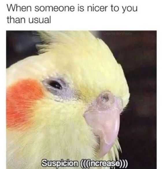 Funny Suspicious
