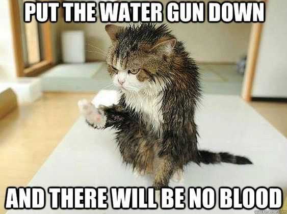 Funny There Blood
