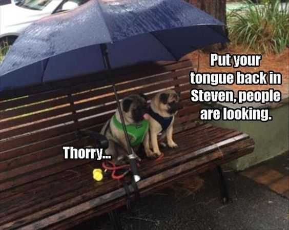 Funny Tongue
