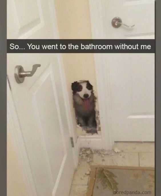 Funny Went Without