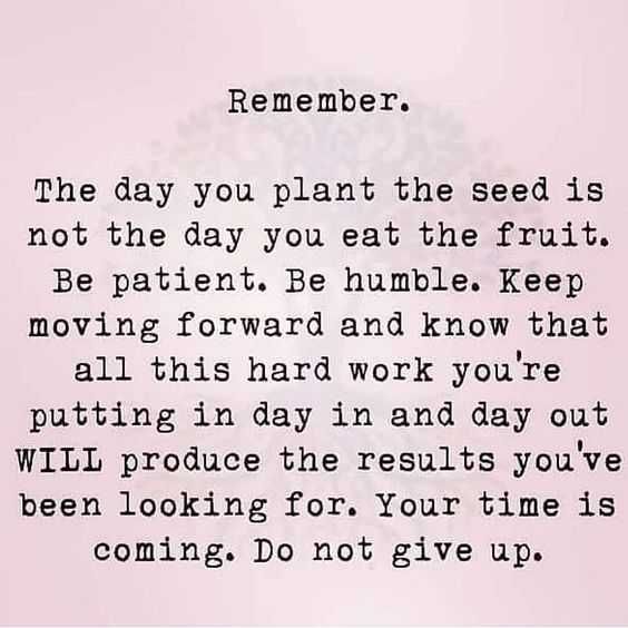 Quote Day You Plant