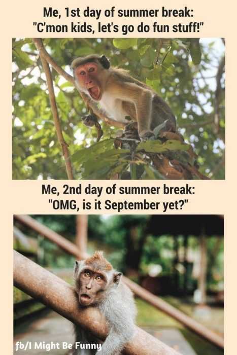 Funny 1St Day Summer Break