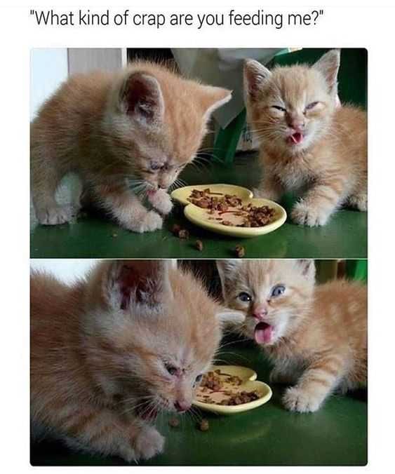 Funny Ew