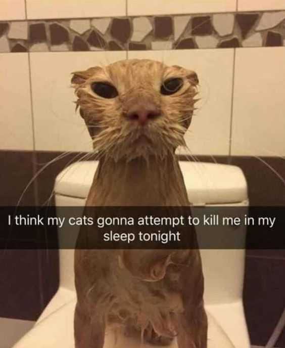 Funny Kill Me