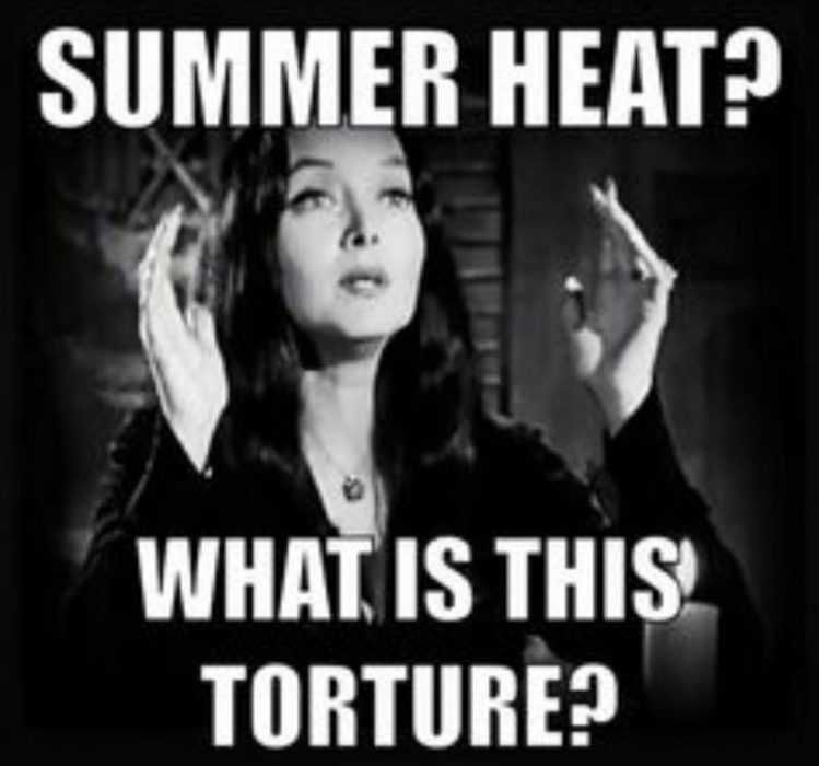 Funny What Is Torture