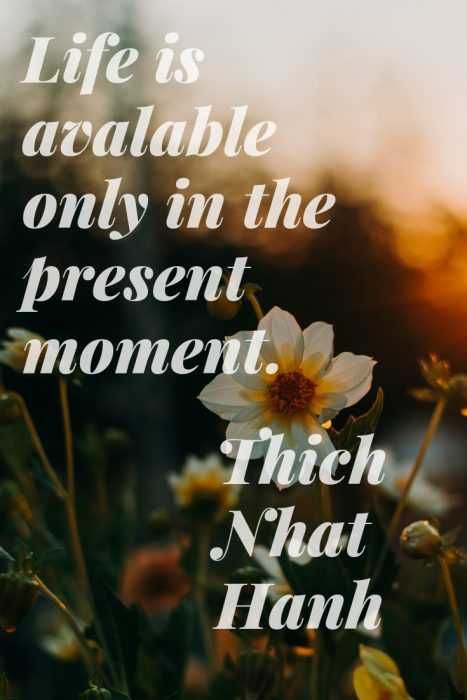 Life Available