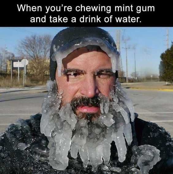 Meme Drink Water