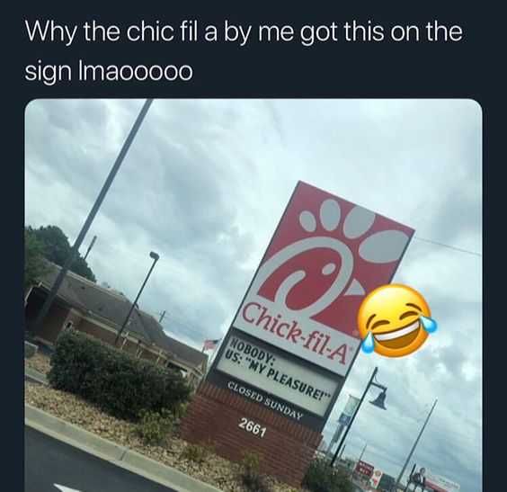 Meme My Pleasure