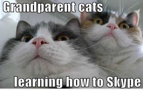 Animal Learning Skype