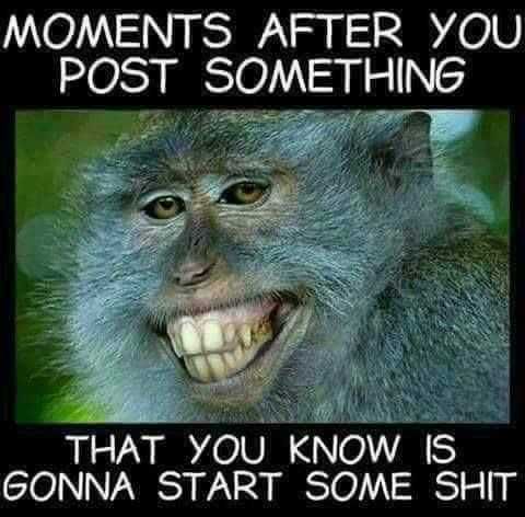 Animal Monkey Post