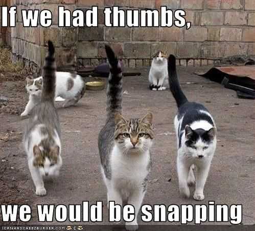 Animal Snapping Thumbs