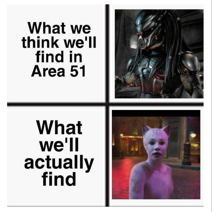 Area 51 Cats