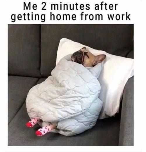 Funny 2 Minutes After