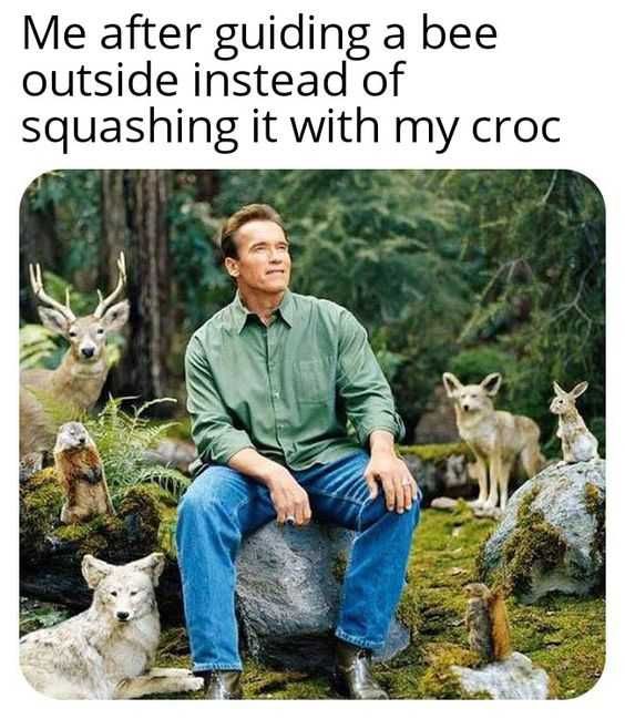 Funny After Guiding Bee