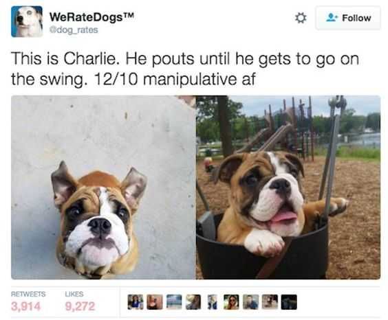 Funny Charlie Pouts