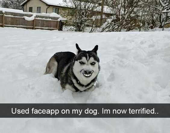 Funny Face App