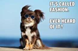 Funny Fashion Heard