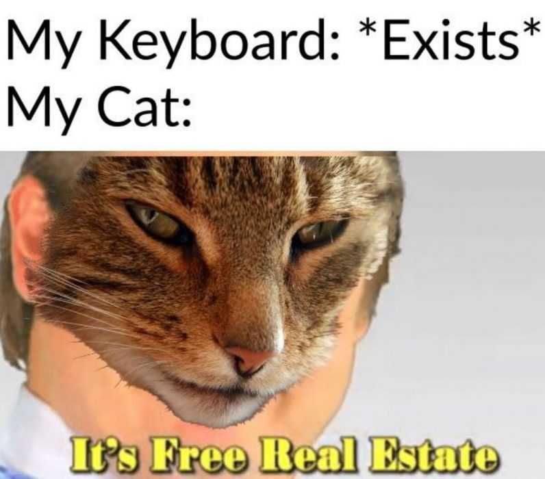 Funny Keyboard