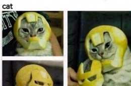 Funny Learn Iron Man