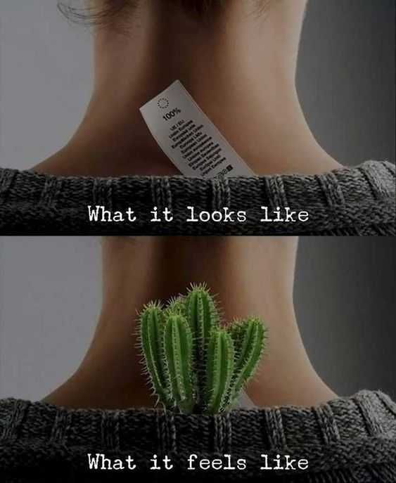 Funny Looks Like