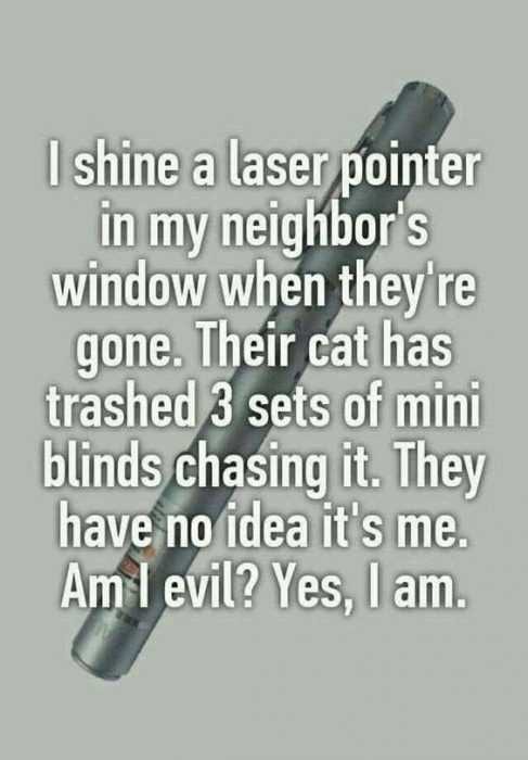 Funny Mini Blinds