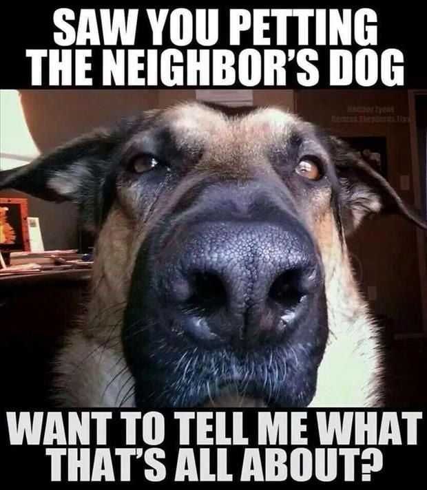 Funny Petting Animal
