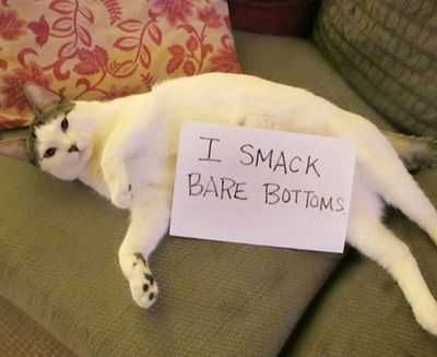Funny Smack Bare