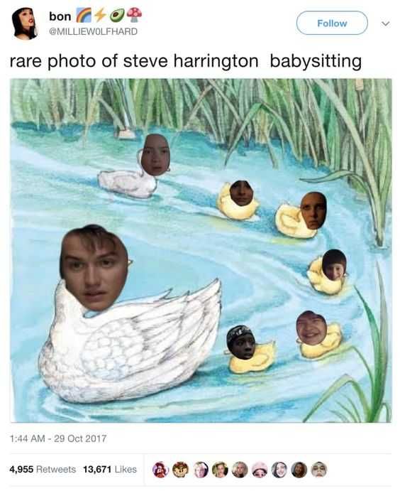 Funny Steve Harrington