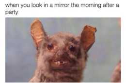 Funny Woke Up Drunk