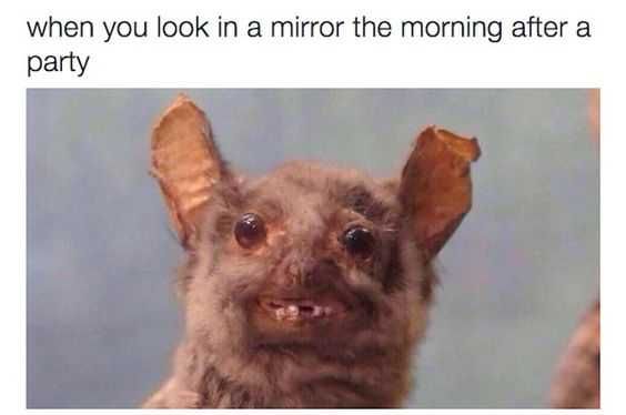 Funny Woke Up Drunk