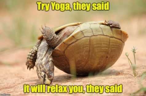 Funny Yoga