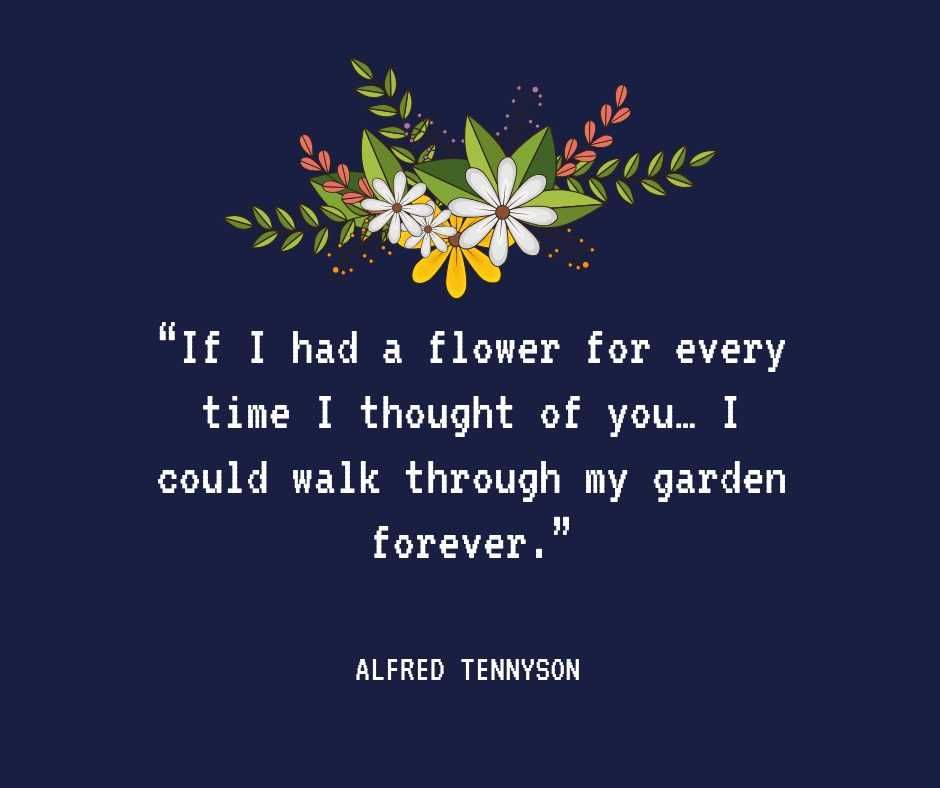 Quote Could Walk