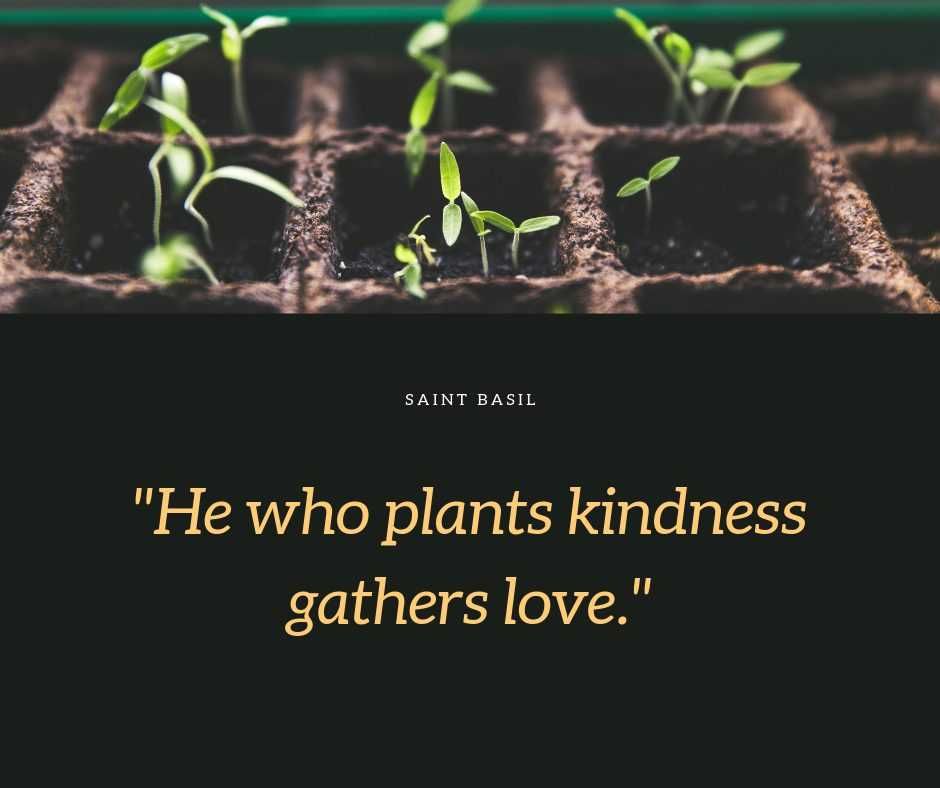 Quote Gathers Love