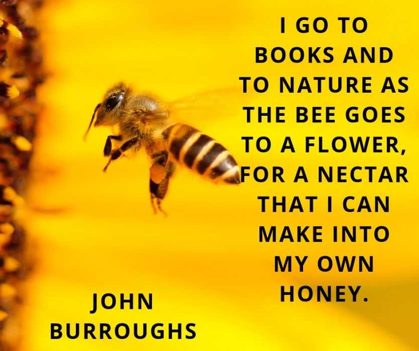 Quotes About Nature'S Gifts