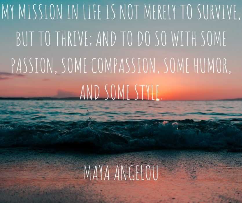 Quote Mission In Life