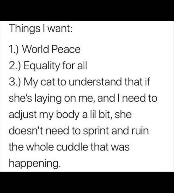Quote World Peace Cat