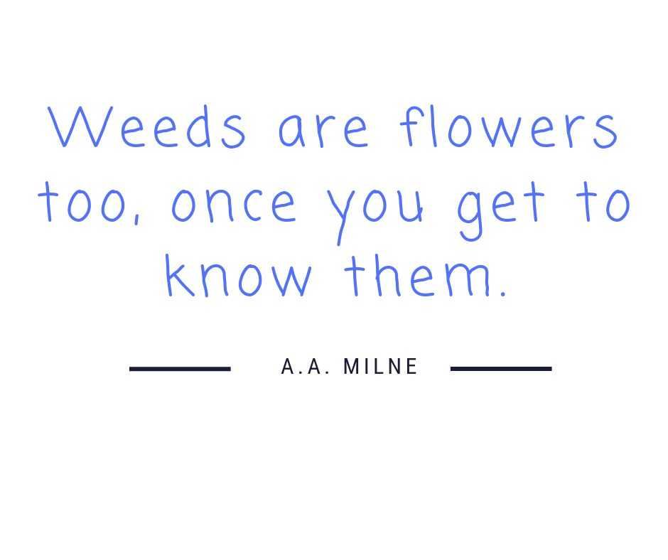 Weeds Are