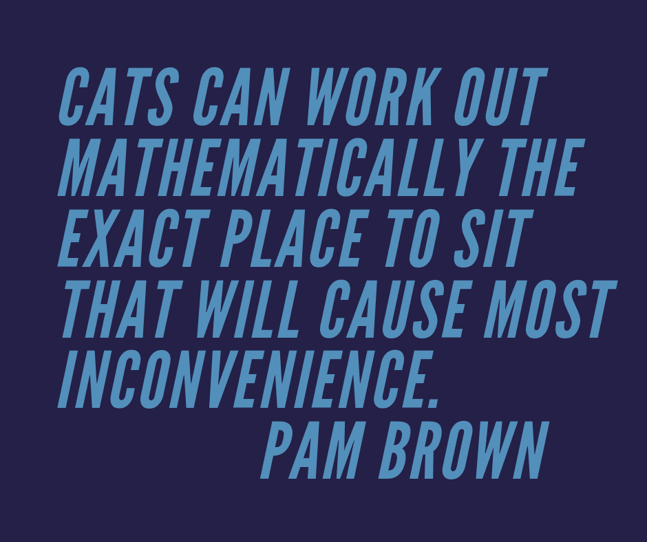 Cats Can Work Out Mathematically The Exact Place To Sit That Will Cause Most Inconvenience. Pam Brown