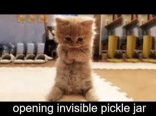 Animal Pickle Jar