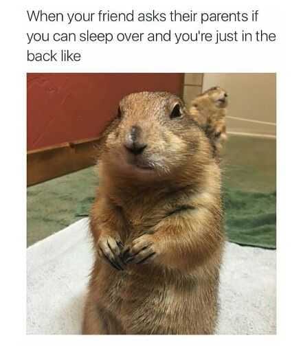 Funny Ask Sleep Over