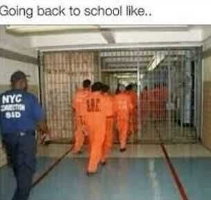 Funny Back To Like