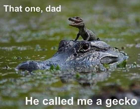 Funny Called Me Gecko